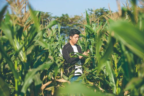 農(nóng)大夫妻的現(xiàn)實版“去有風的地方” 用心打造屬于自己的農(nóng)產(chǎn)品夢想