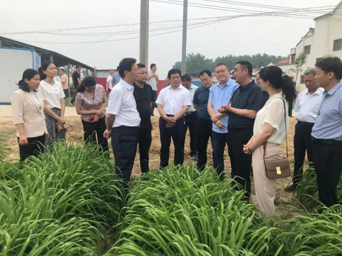 大力發(fā)展我省特色地標農(nóng)產(chǎn)品種植加工，盡快提升產(chǎn)業(yè)化水平調(diào)研