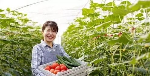 三產融合，共贏未來 如何將休閑農業、鄉村旅游與有機農產品種植打造成最佳營銷組合